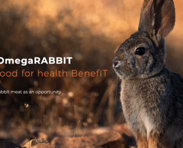 Screenshot 2025-05-09 alle 18.06.47